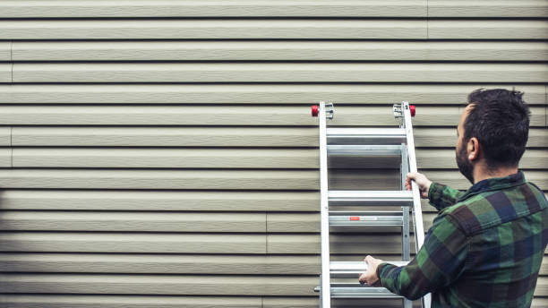 Best Residential Vinyl Siding Installation  in Petal, MS
